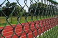 High Quality Galvanized Chain Link Fence 5