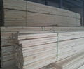 Sawn Timber