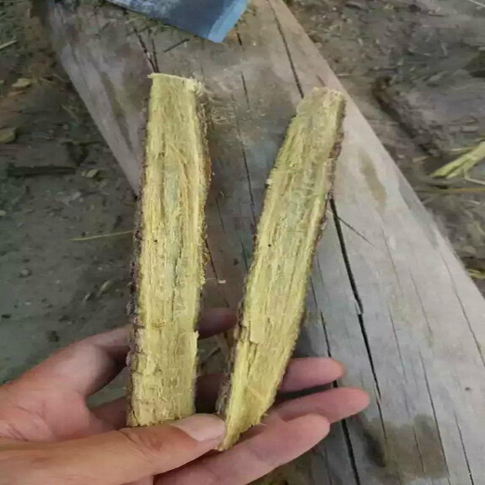 Licorice Root (Korea Trading Company) Other Agricultural Products