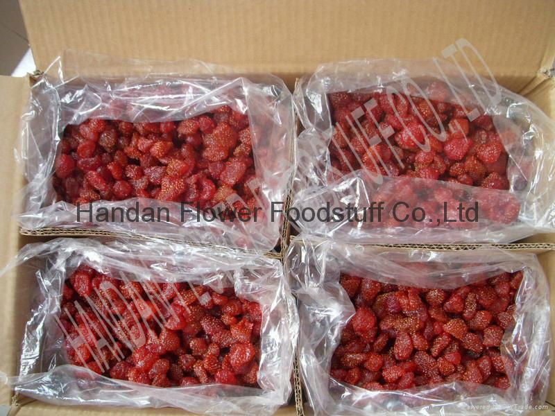 Dried Fruit Dried Strawberry 3