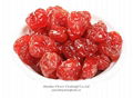 Dried Cherry Manufacturer