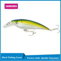 Free Shipping Hard Plastic Baits Minnow