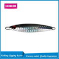 Free Shipping Metal Jigging Spoon 3D Eyes Lures 2