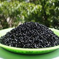 Fast flow rate non-pollution plastic additive for mulch 3