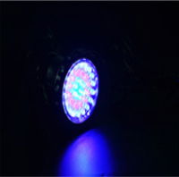 High Performance Ip68 2.5w Led Spot Light For Garden Decoration 4