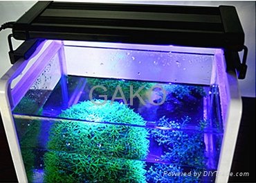  Professional Aquarium Dimmable LED Lights With Switch 5