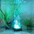 F5 LED Round Air Bubble Lights With Airston For Fish Tanks 2