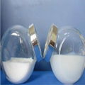 納米二氧化硅PMA油性液體