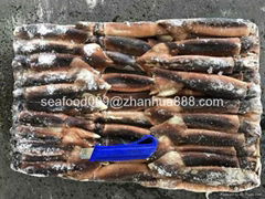 Illex Squid Whole Round