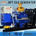 biogas generator(100kw) 1
