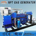 60kw natural gas generator 1