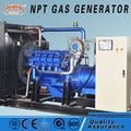 Customized CE 150kW generator propane