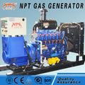 Customized silent 200kw wood gas generator price  1