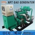 Customized CE approved silent 50 kw lpg