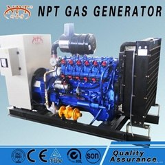 NPT biogas generator 60KW 