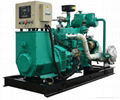 China factory Deutz 50kw biogas generator  1