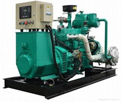 China factory Deutz 50kw biogas generator 