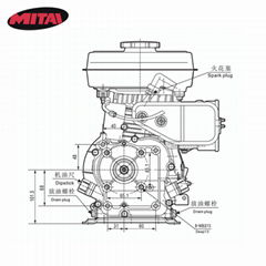 hot sale Gasoline Engine from China