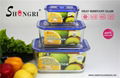 rectangle  food storage container with