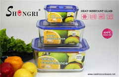 rectangle  food storage container with pp lid