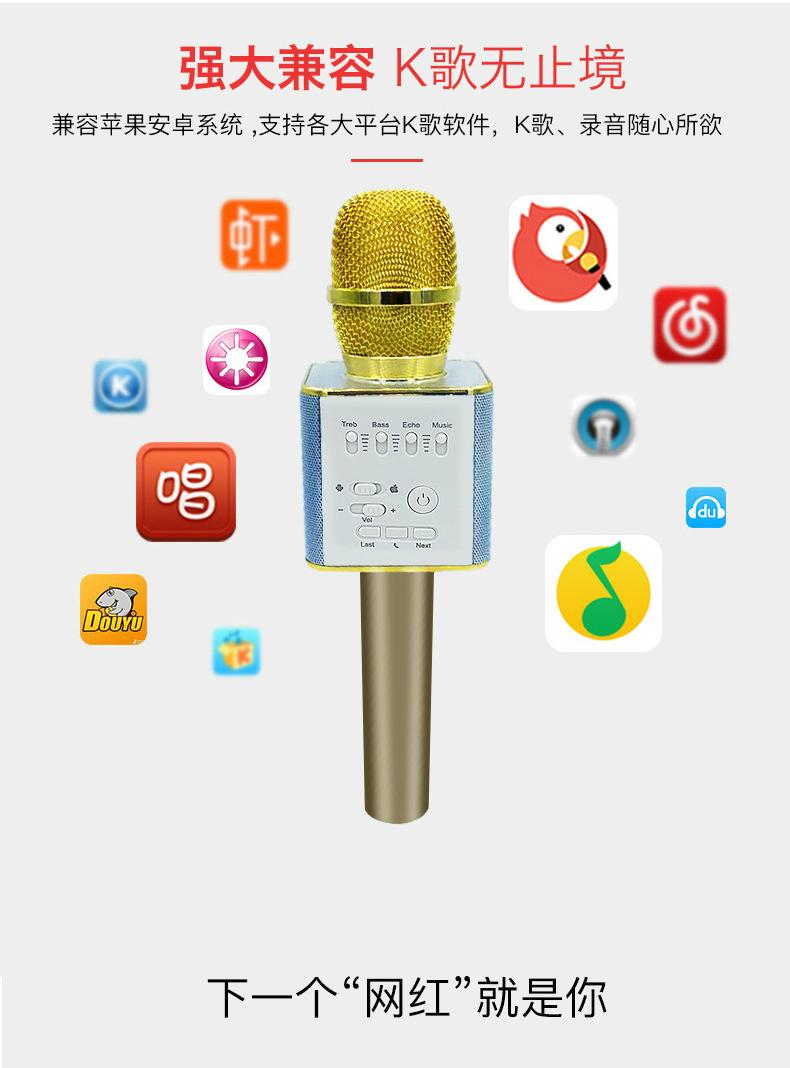 Karaoke microphone  3