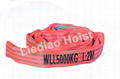 Round Endless Cargo Webbing Sling Polyester Soft Lifting Sling 4