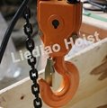 HHBB Electric Chain Hoist with Remote Control 3