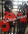 DHS Portable Electric Chain Hoist 2