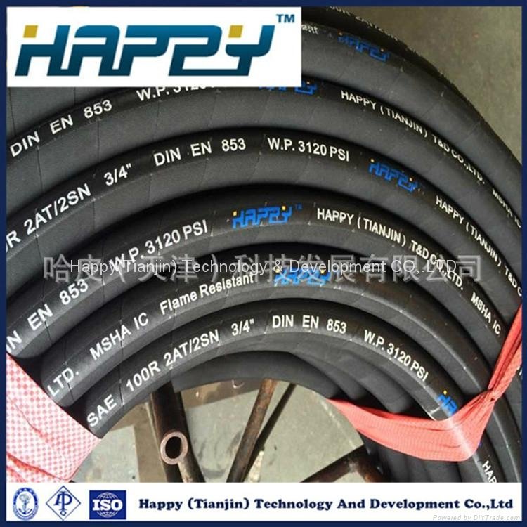SAE 100 R2at Flexible High Pressuse Rubber Hydraulic Hose