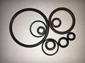 BS1806-132 VT O-Ring 2