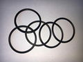 GB2401-C76-111 CR O-Ring 3