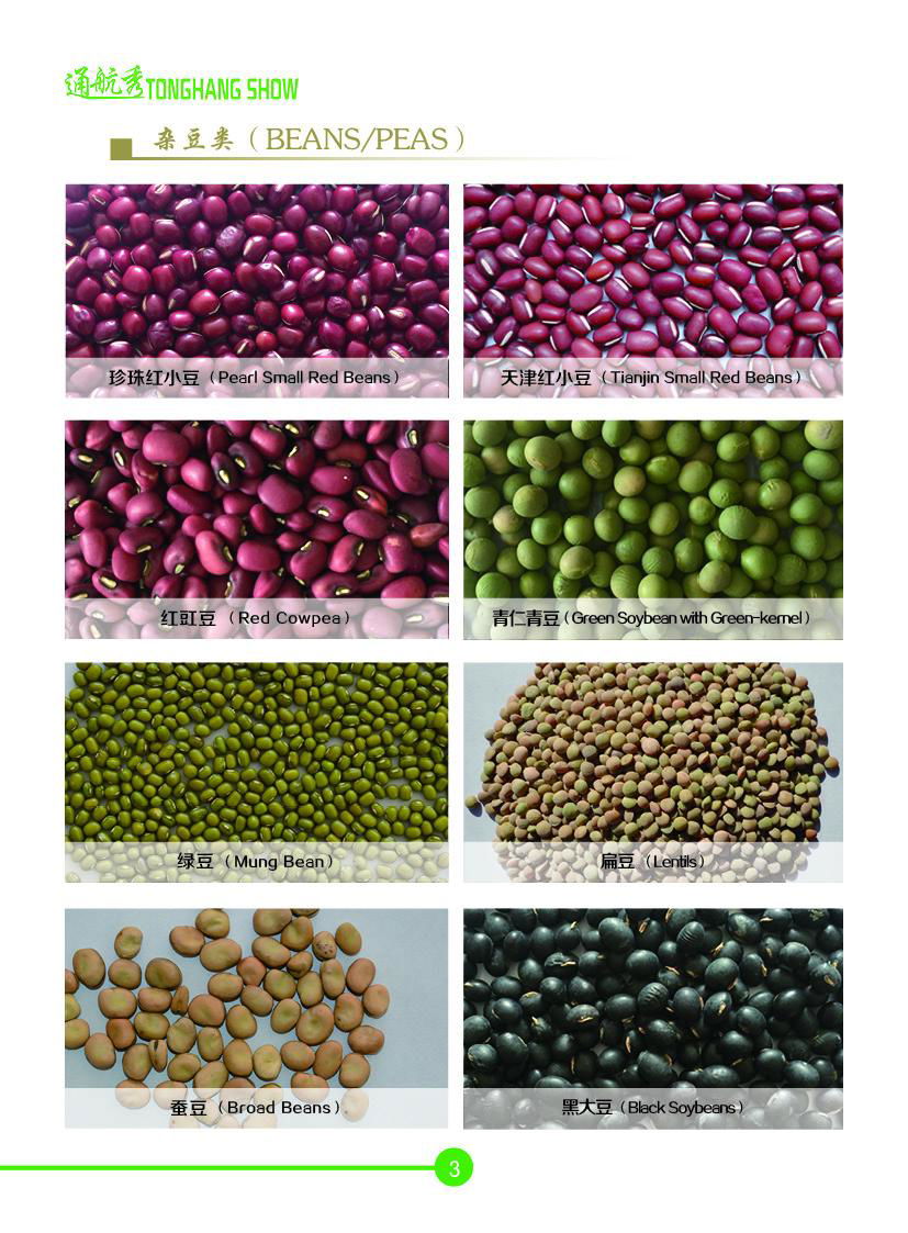 Beans Millets 2