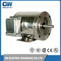 GW 1 hp 1750 RPM 56C Frame 208-230/460 Volts Stainless Steel  Electric Motor  2