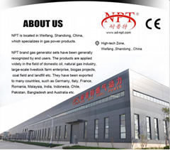 Weifang Naipute Gas Genset Co.,Ltd