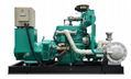 China factory Deutz 50kw biogas generator 4