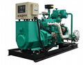 China factory Deutz 50kw biogas generator 3