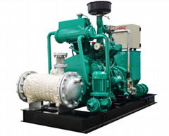 China factory Deutz 50kw biogas generator