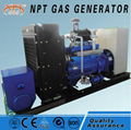 Silent converting biomass 300kw generator 1