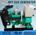 China CE silent 40kw natural gas