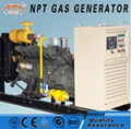 CE approved 50kw biogas generator