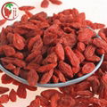 Free Pesticides Goji Berry