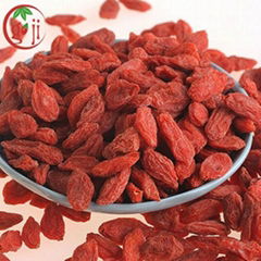 Free Pesticides Goji Berry