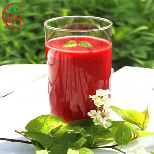 Goji Concentrate Juice