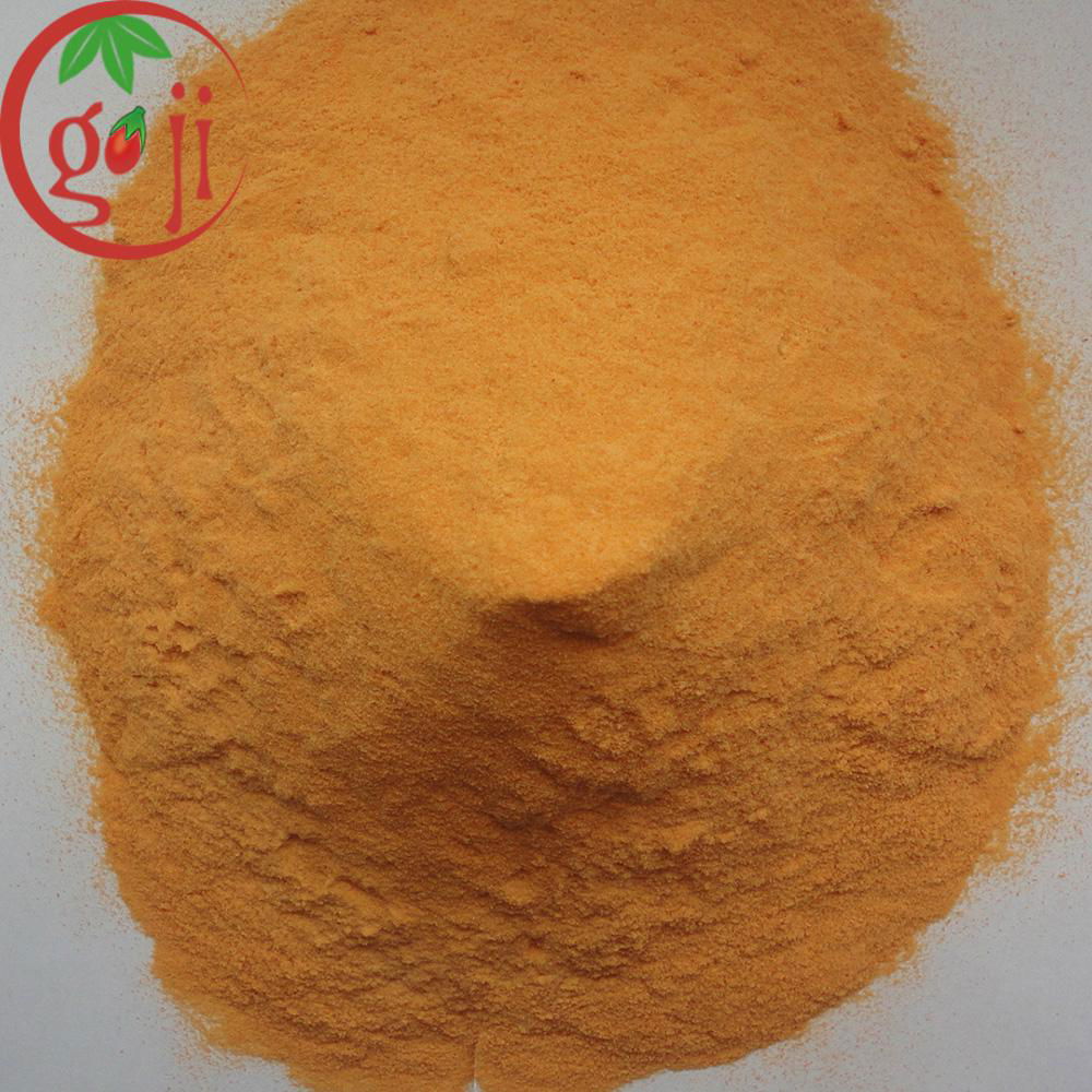 Goji Powder  2