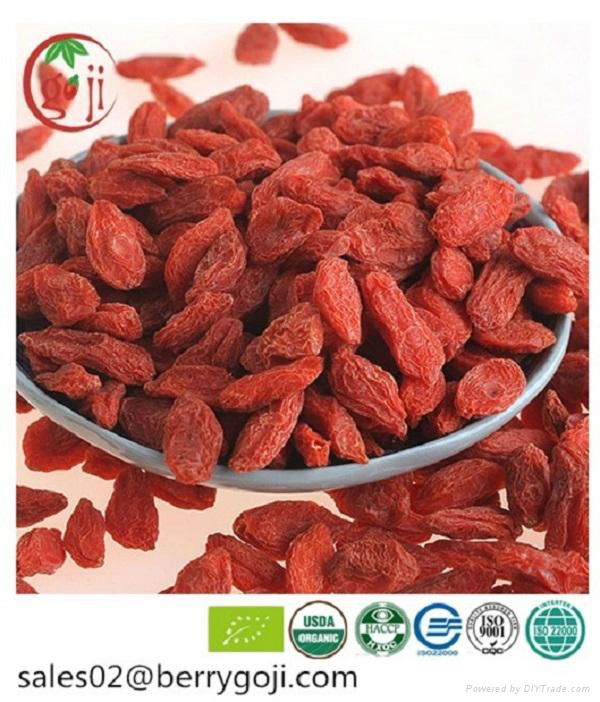 Organic Goji Berries 2