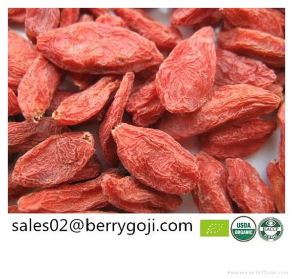 Organic Goji Berries