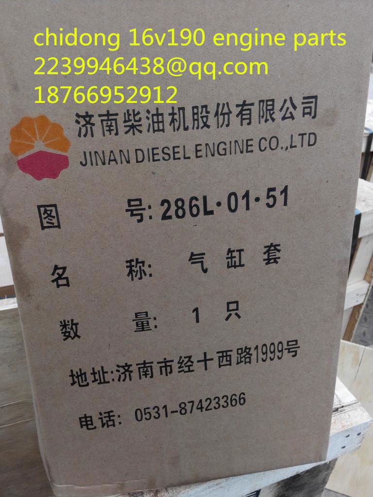 chidong engine 12v190 engine parts 3