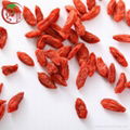 Certificate Organic Goji Berry