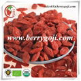 Dried Goji Berry(Conventional Goji Berries)