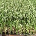 UV-Resistance Natural Looking Garden Synthetic Plastic Grass Artificial Turf 1